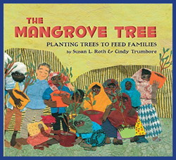 The mangrove tree